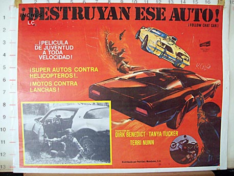 DESTRUYAN ESE AUTO