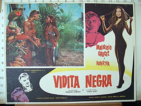 VIDITA NEGRA