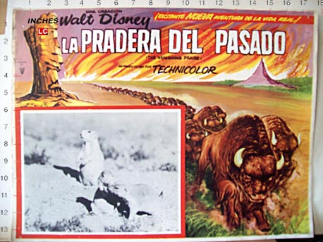 LA PRADERA DEL PASADO