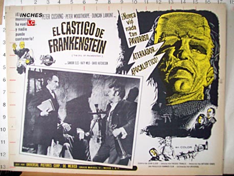 EL CASTIGO DE FRANKENSTEIN