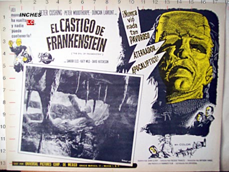 EL CASTIGO DE FRANKENSTEIN