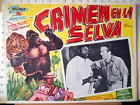 CRIMEN EN LA SELVA