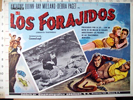 LOS FORAJIDOS