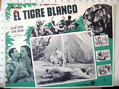 EL TIGRE BLANCO