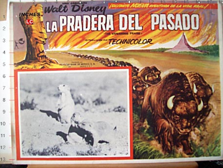 LA PRADERA DEL PASADO