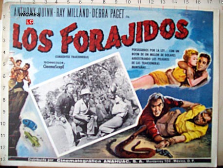 LOS FORAJIDOS