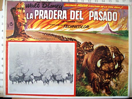 LA PRADERA DEL PASADO