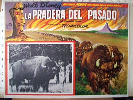 LA PRADERA DEL PASADO