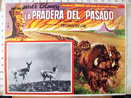 LA PRADERA DEL PASADO