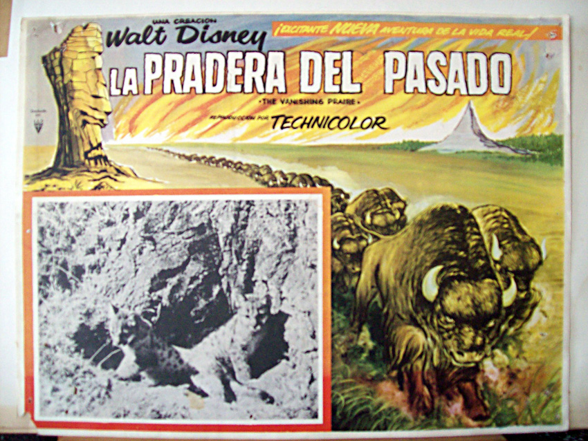 LA PRADERA DEL PASADO