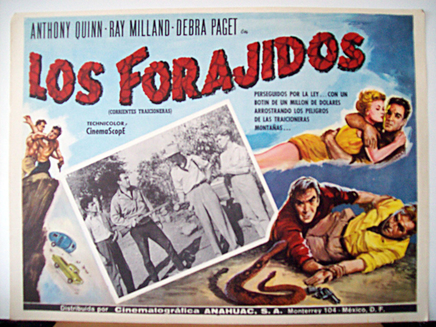 LOS FORAJIDOS