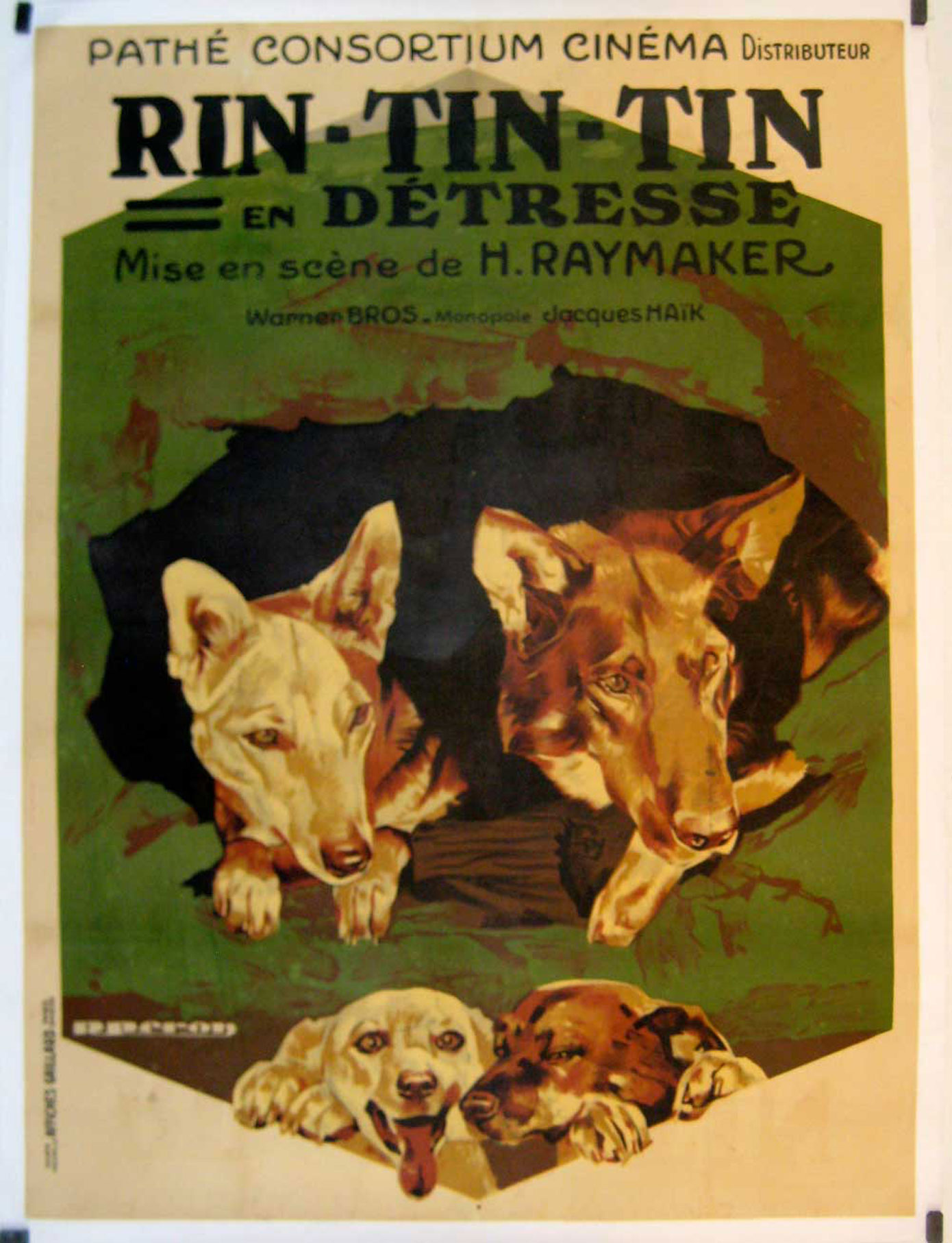 RIN TIN TIN EN DETRESSE