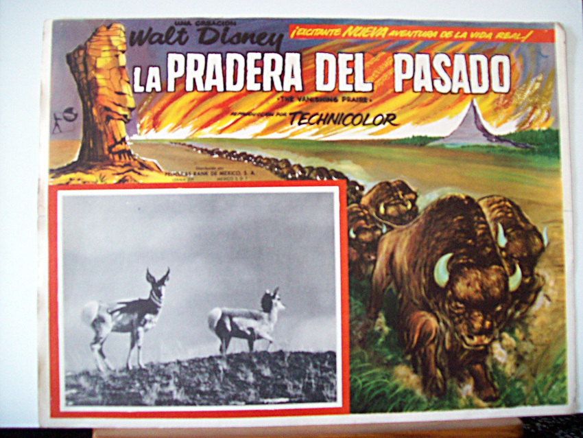 LA PRADERA DEL PASADO