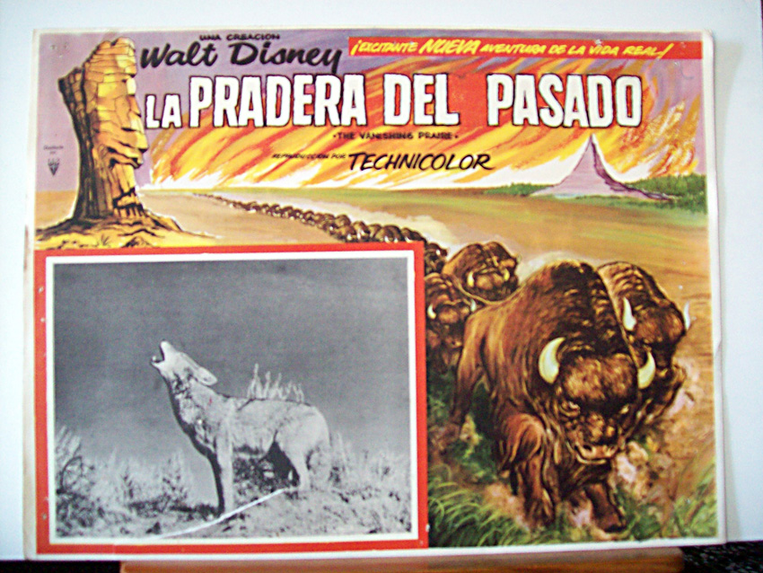 LA PRADERA DEL PASADO