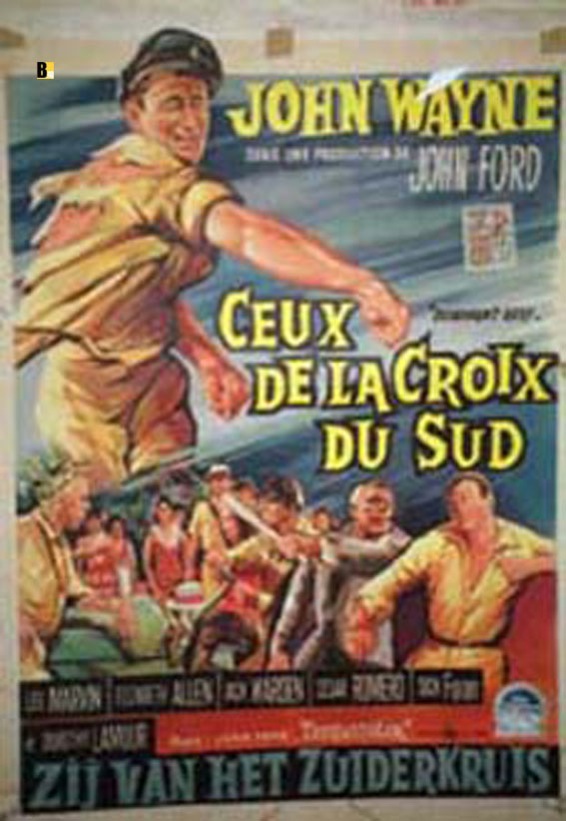 CEUX DE LA CROIX DU SUD