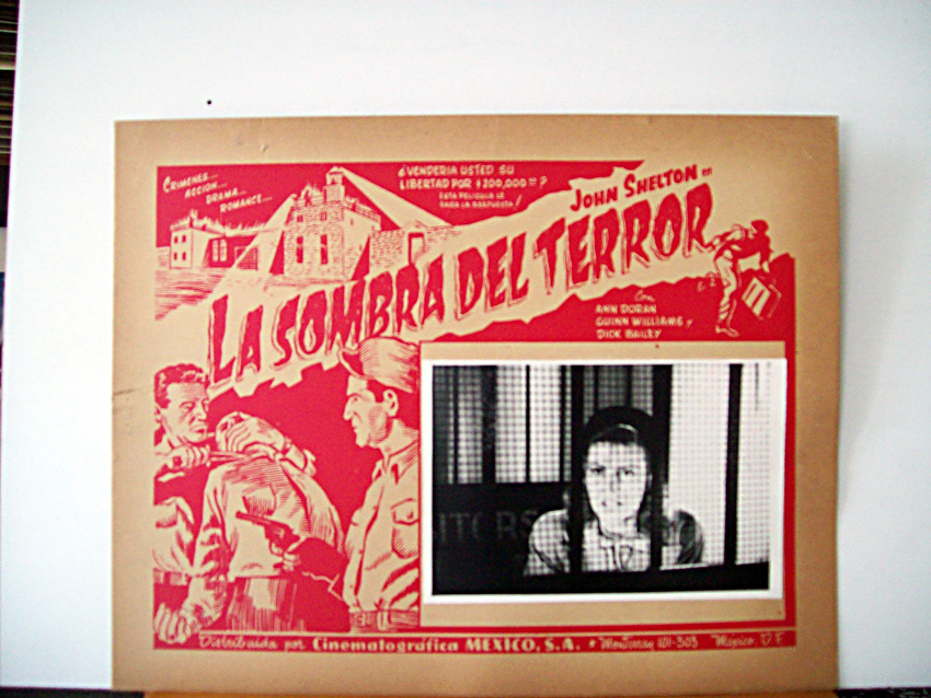 LA SOMBRA DEL TERROR