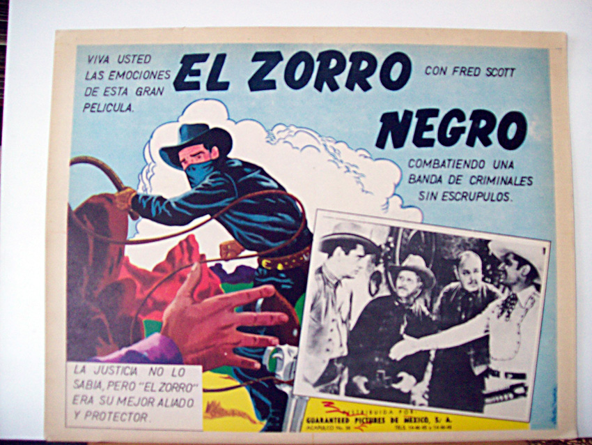 EL ZORRO NEGRO