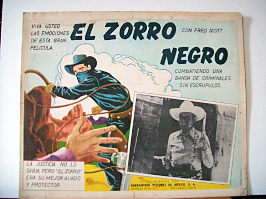 EL ZORRO NEGRO