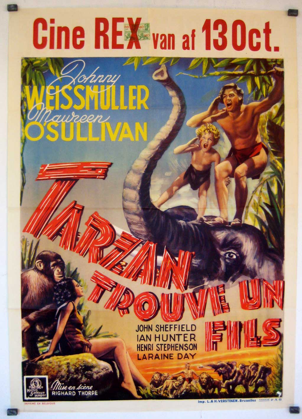 TARZAN TROUVE UN FILS