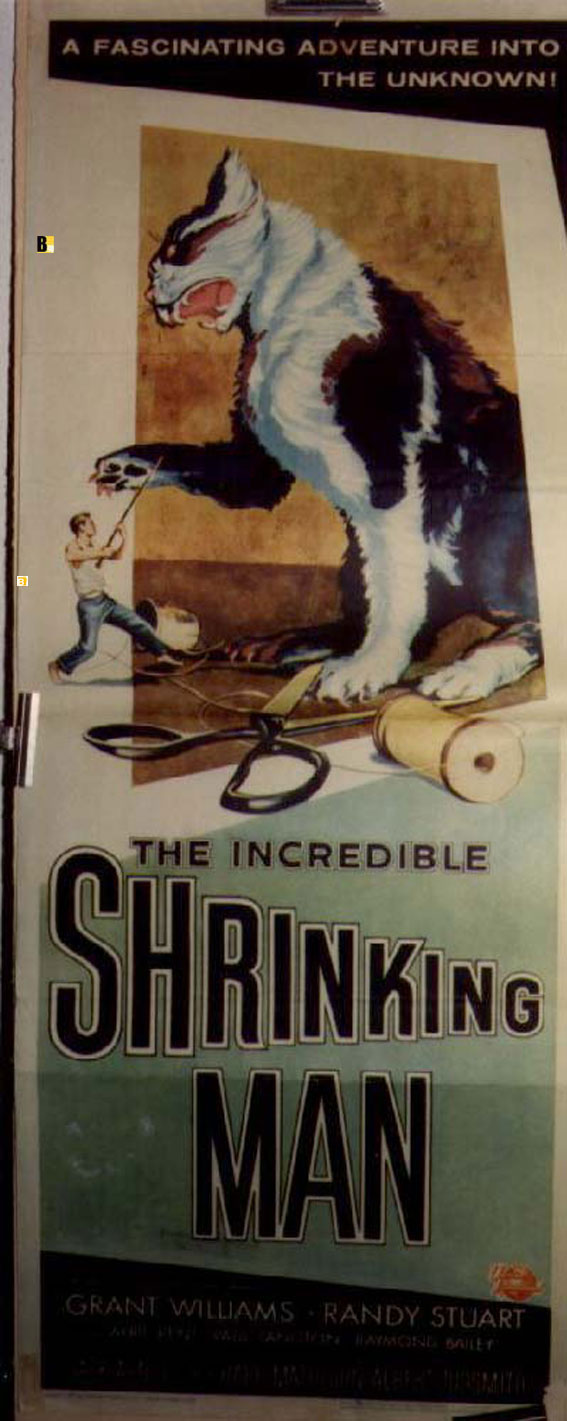 INCREDIBLE SHRINKING MAN, THE