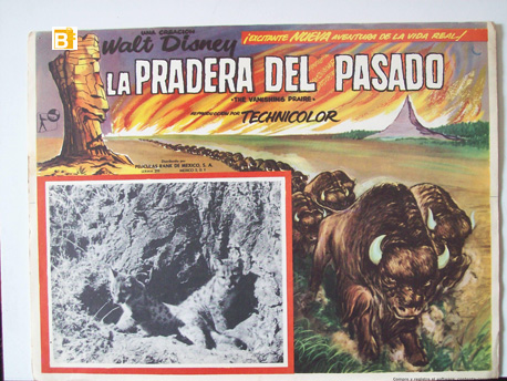 LA PRADERA DEL PASADO