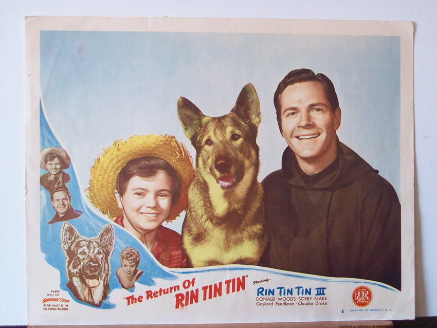 THE RETURN OF RIN TIN TIN