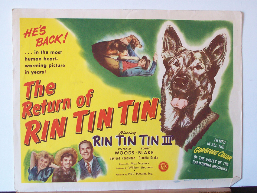 THE RETURN OF RIN TIN TIN