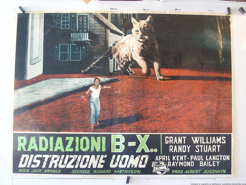 RADIAZIONI BX, DISTRUZIONE UOMO