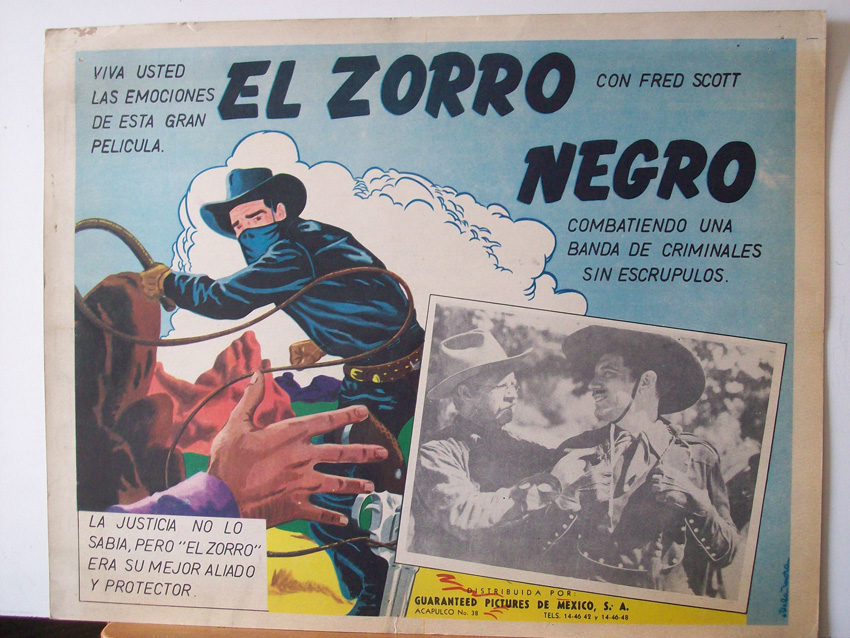 EL ZORRO NEGRO