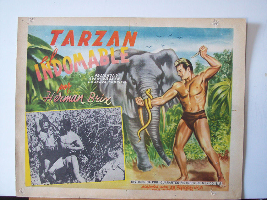 TARZAN EL INDOMABLE