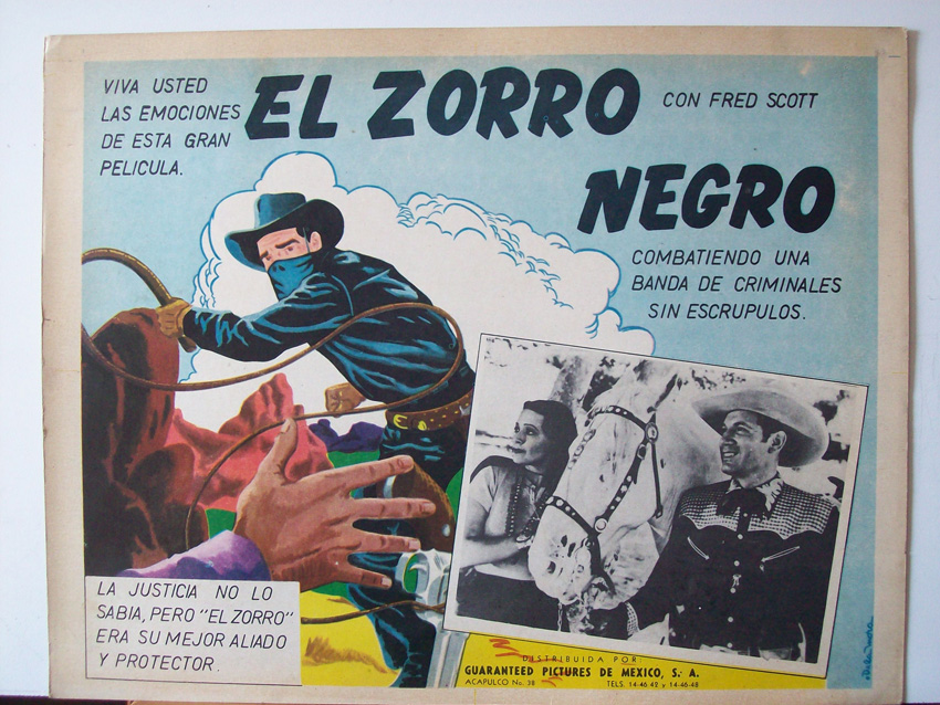 EL ZORRO NEGRO