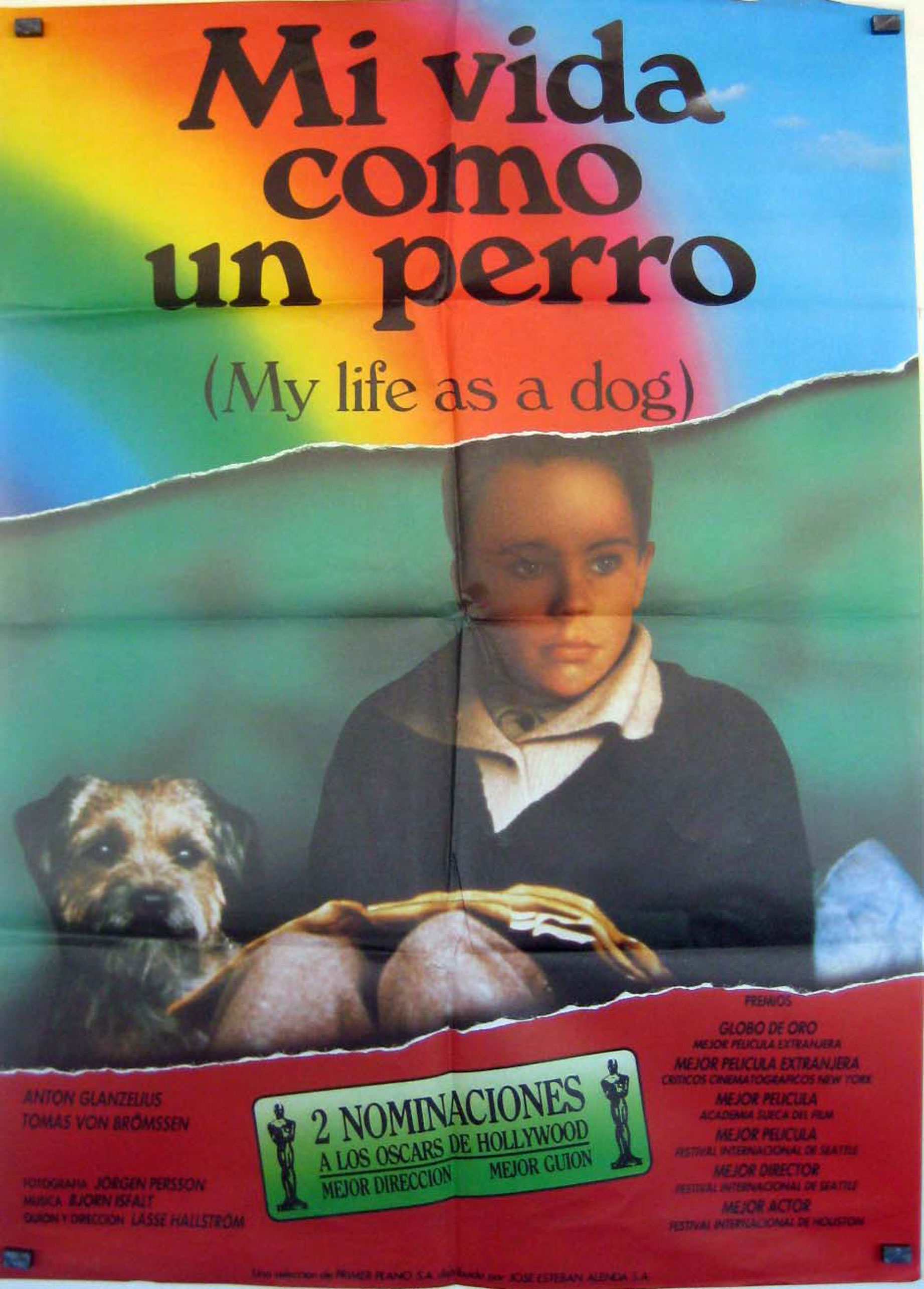 MI VIDA COMO UN PERRO