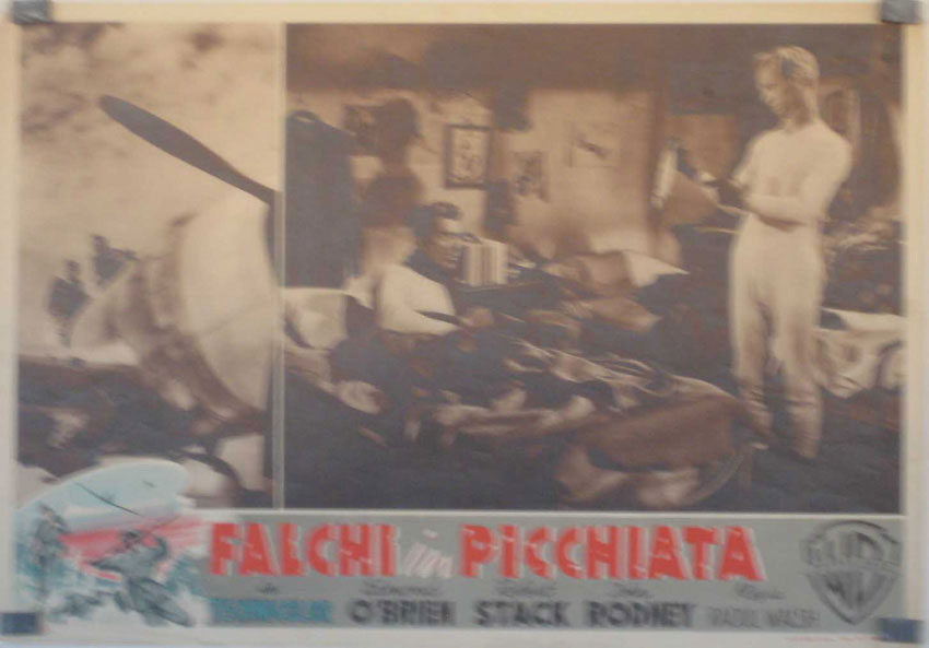 FALCHI IN PICCHIATA