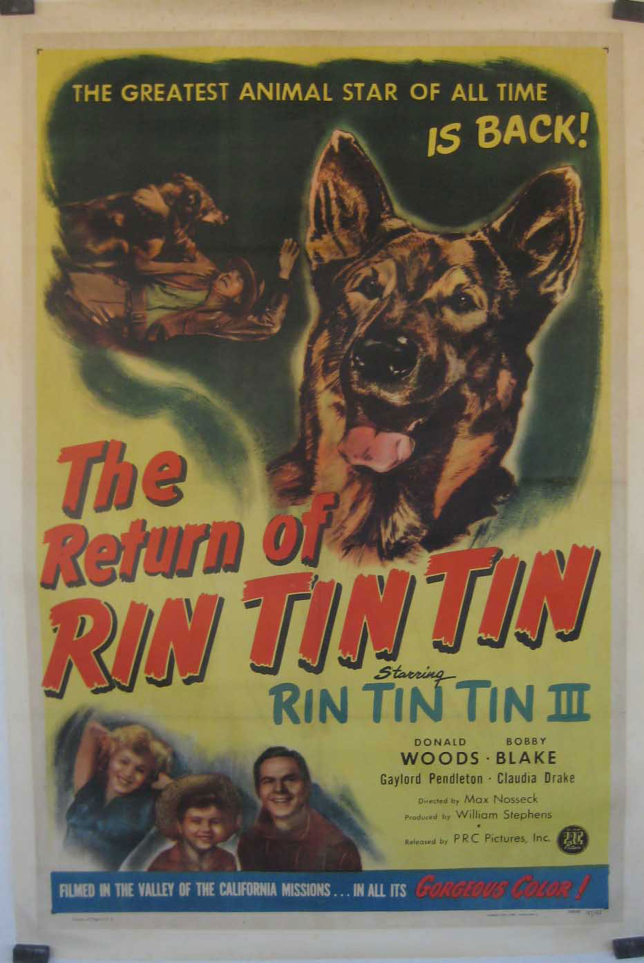 THE RETURN OF RIN TIN TIN