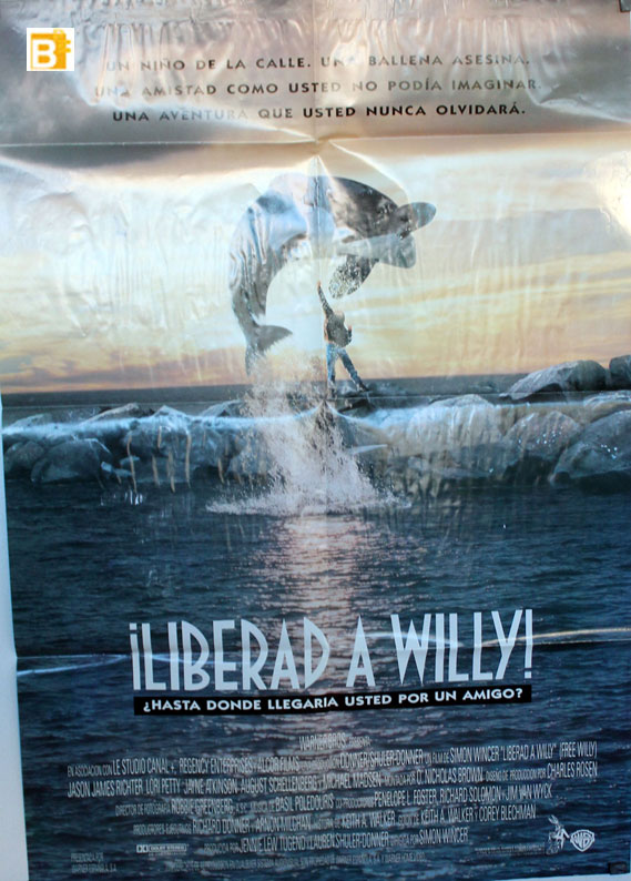 LIBERAD A WILLY