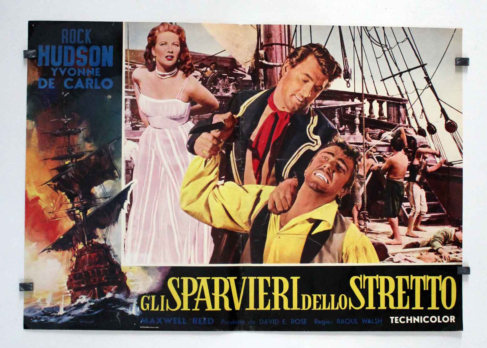 GLI SPARVIERI DELLO STRETTO