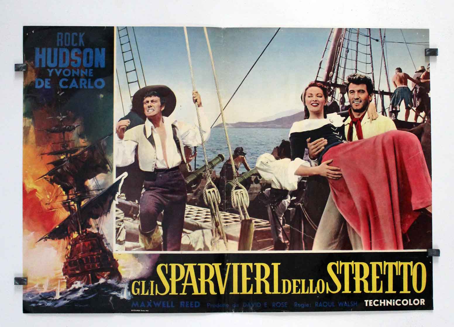 GLI SPARVIERI DELLO STRETTO