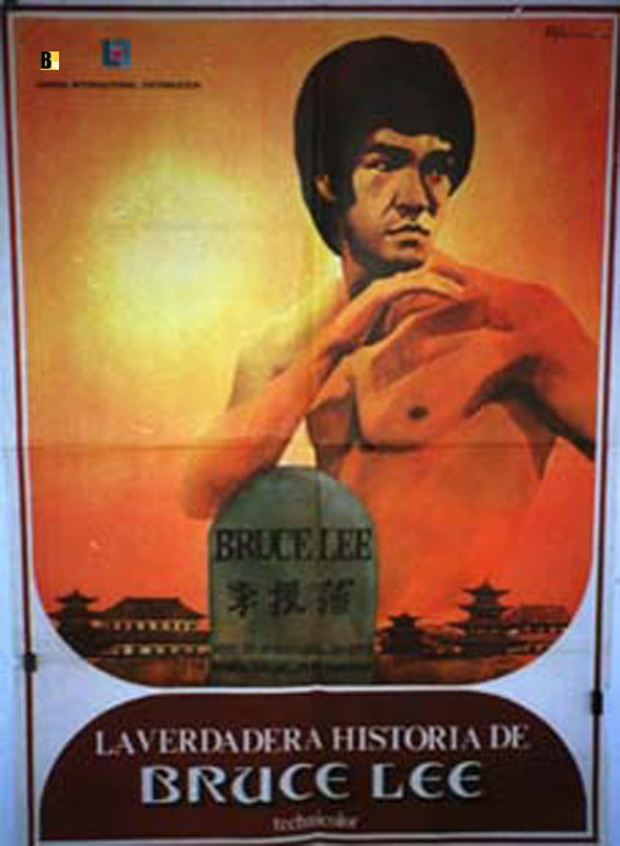 VERDADERA HISTORIA DE BRUCE LEE, LA