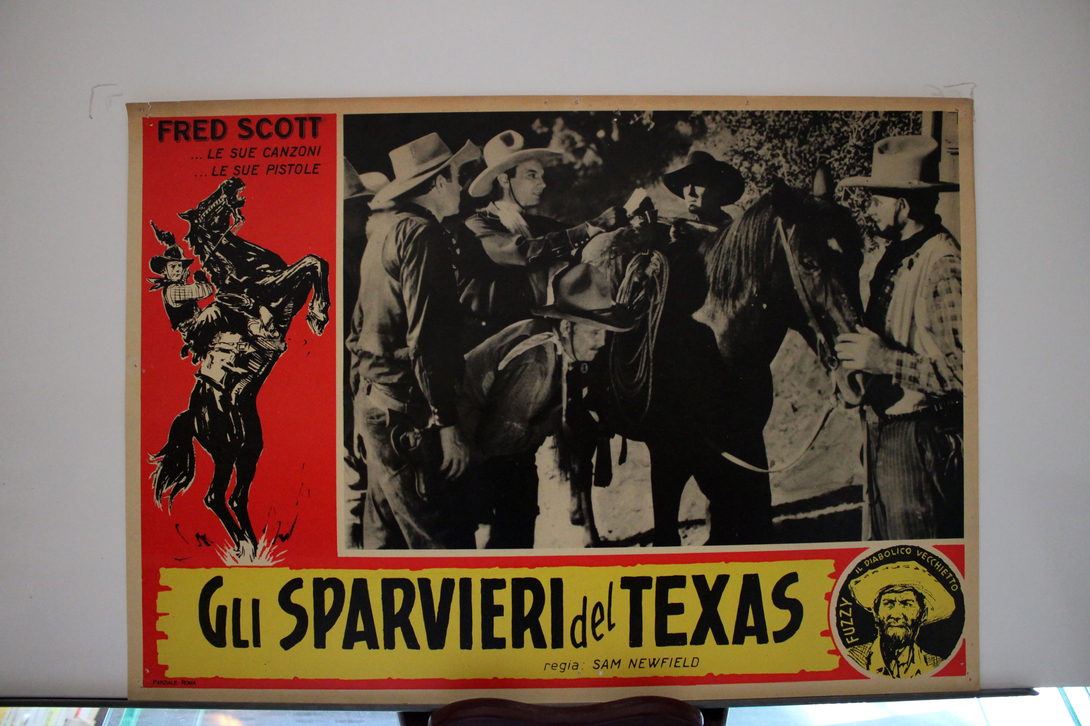 GLI SPARVIERI DEL TEXAS