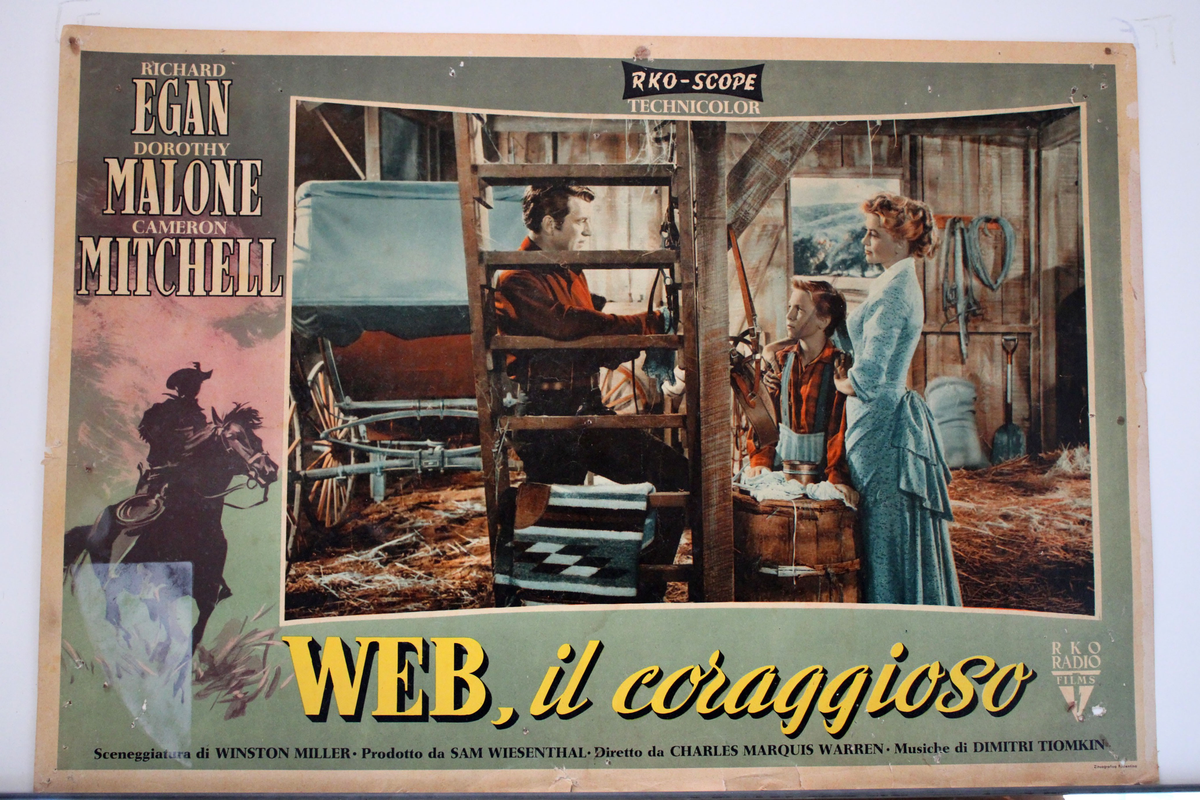 WEB, IL CORAGGIOSO