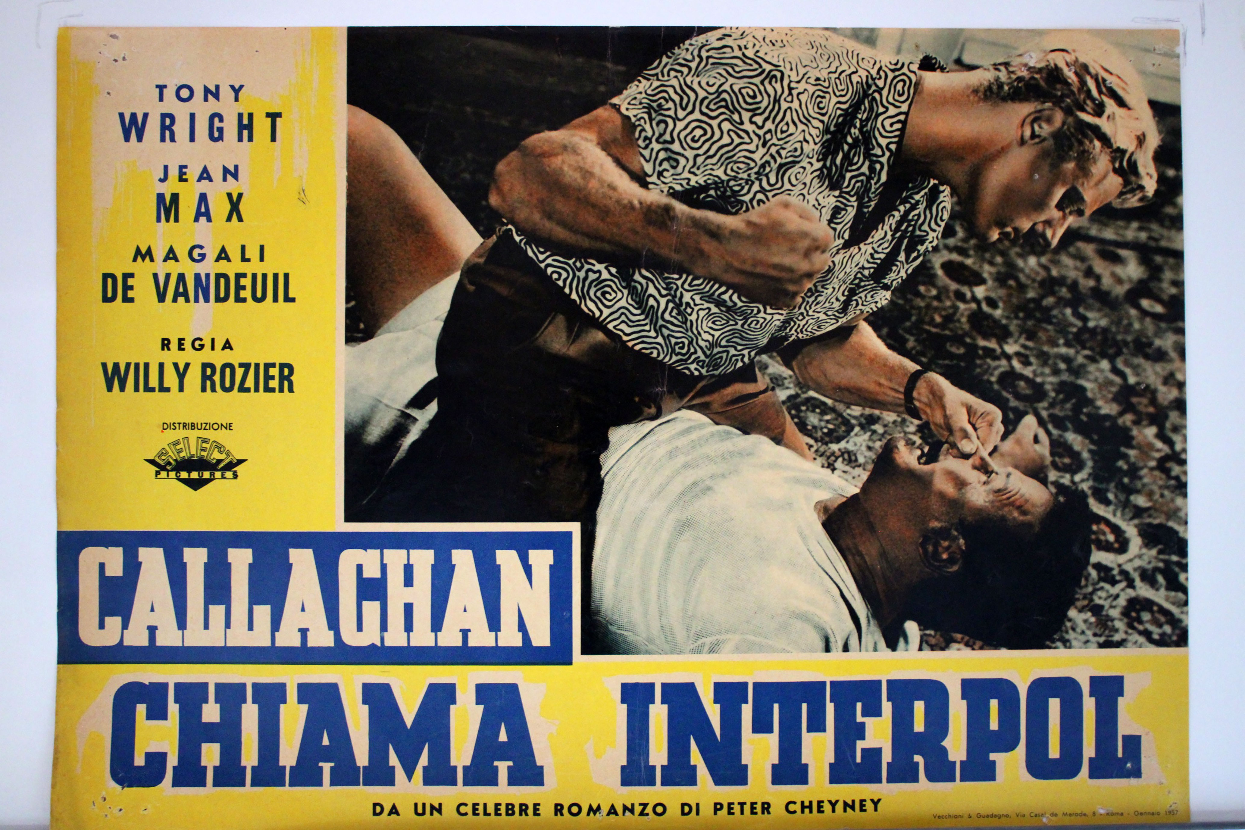 CALLAGHAN CHIAMA INTERPOL