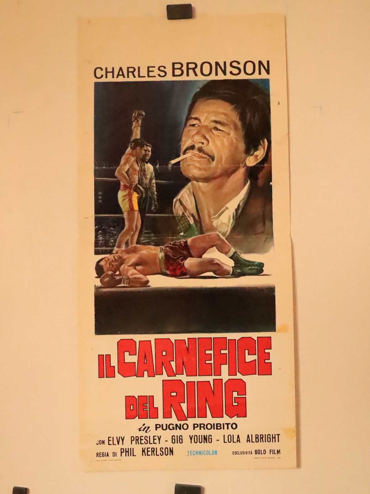 IL CARNEFICE DEL RING