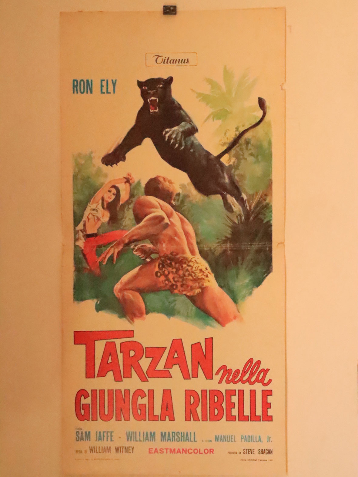 TARZAN NELLA GIUNGLA RIBELLE