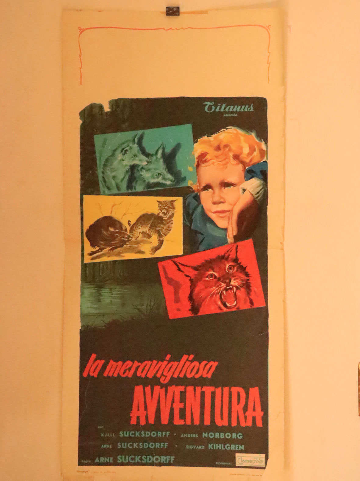 LA MERAVIGLIOSA AVVENTURA