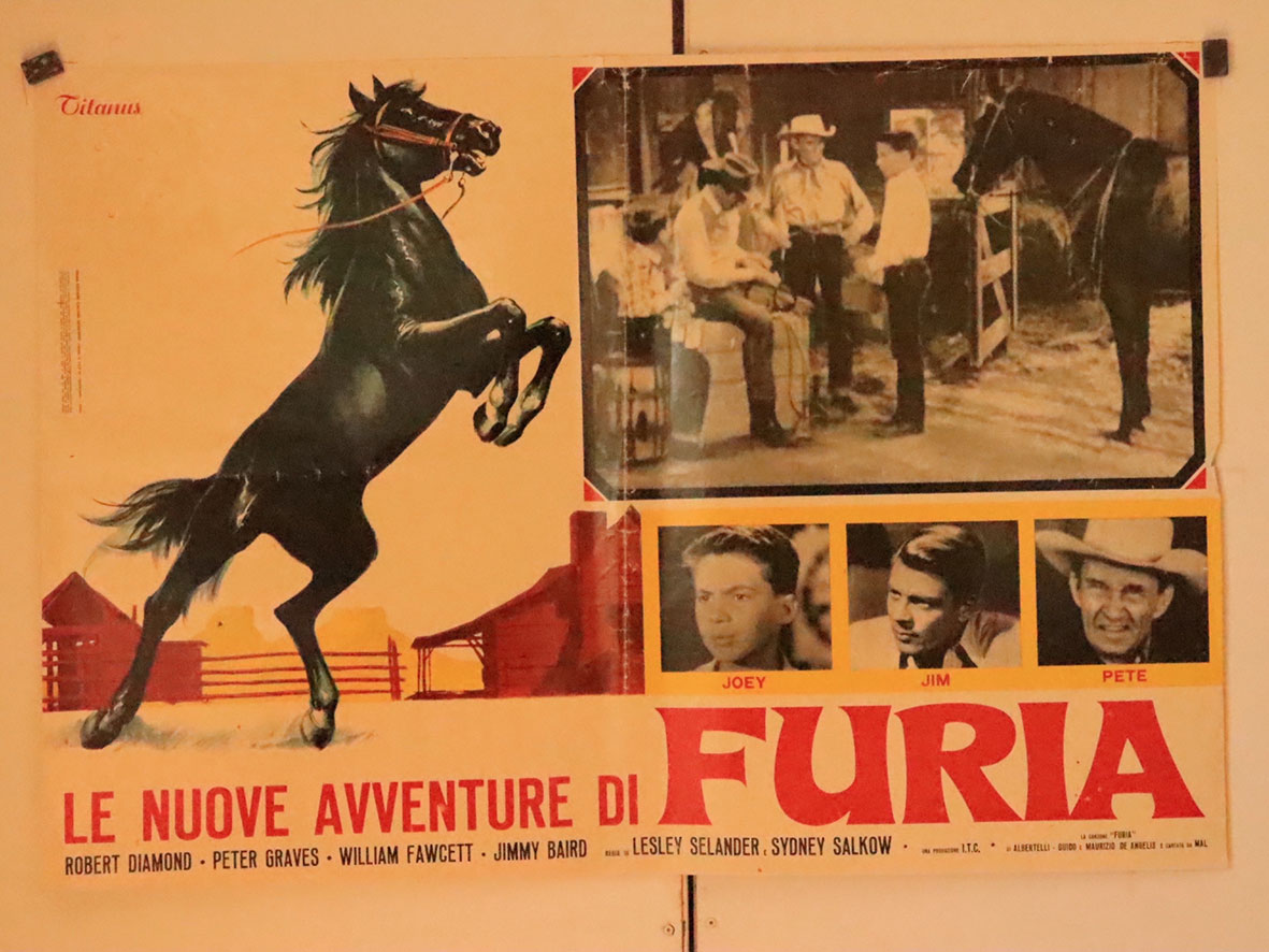 LE NUOVE AVVENTURE DI FURIA