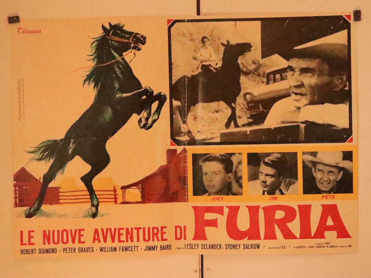 LE NUOVE AVVENTURE DI FURIA