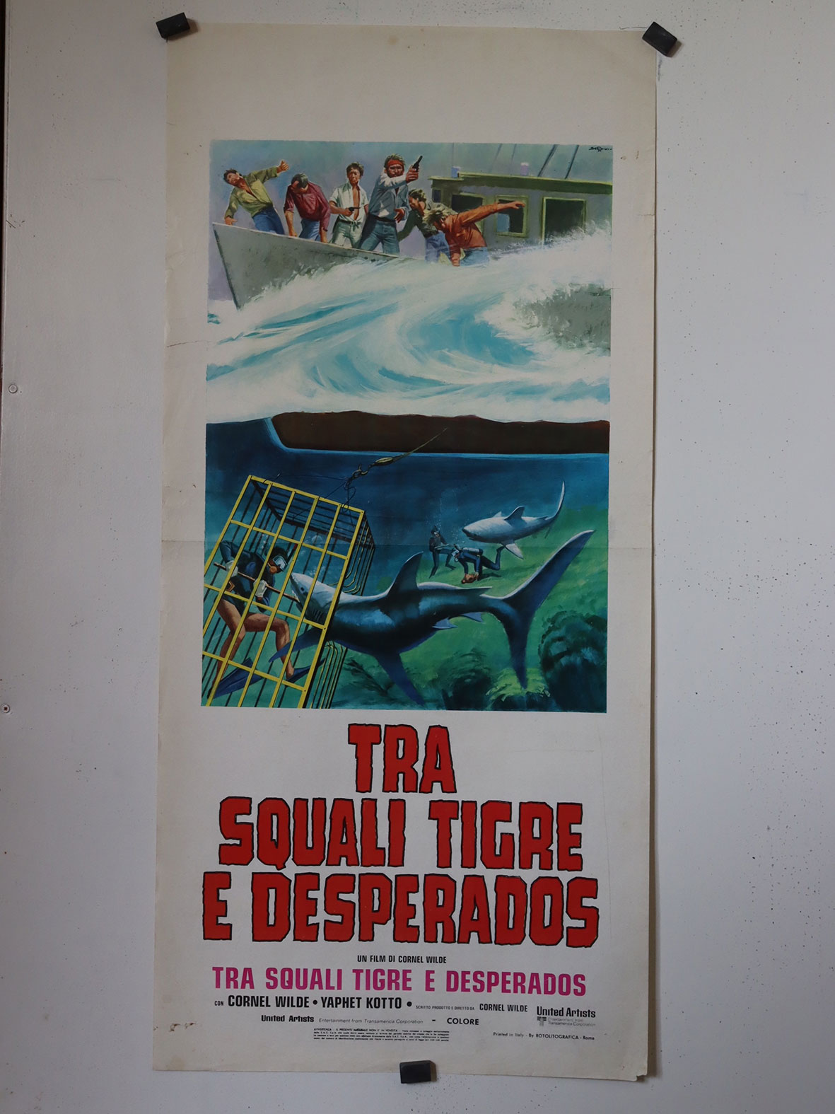 TRA SQUALI TIGRE E DESPERADOS