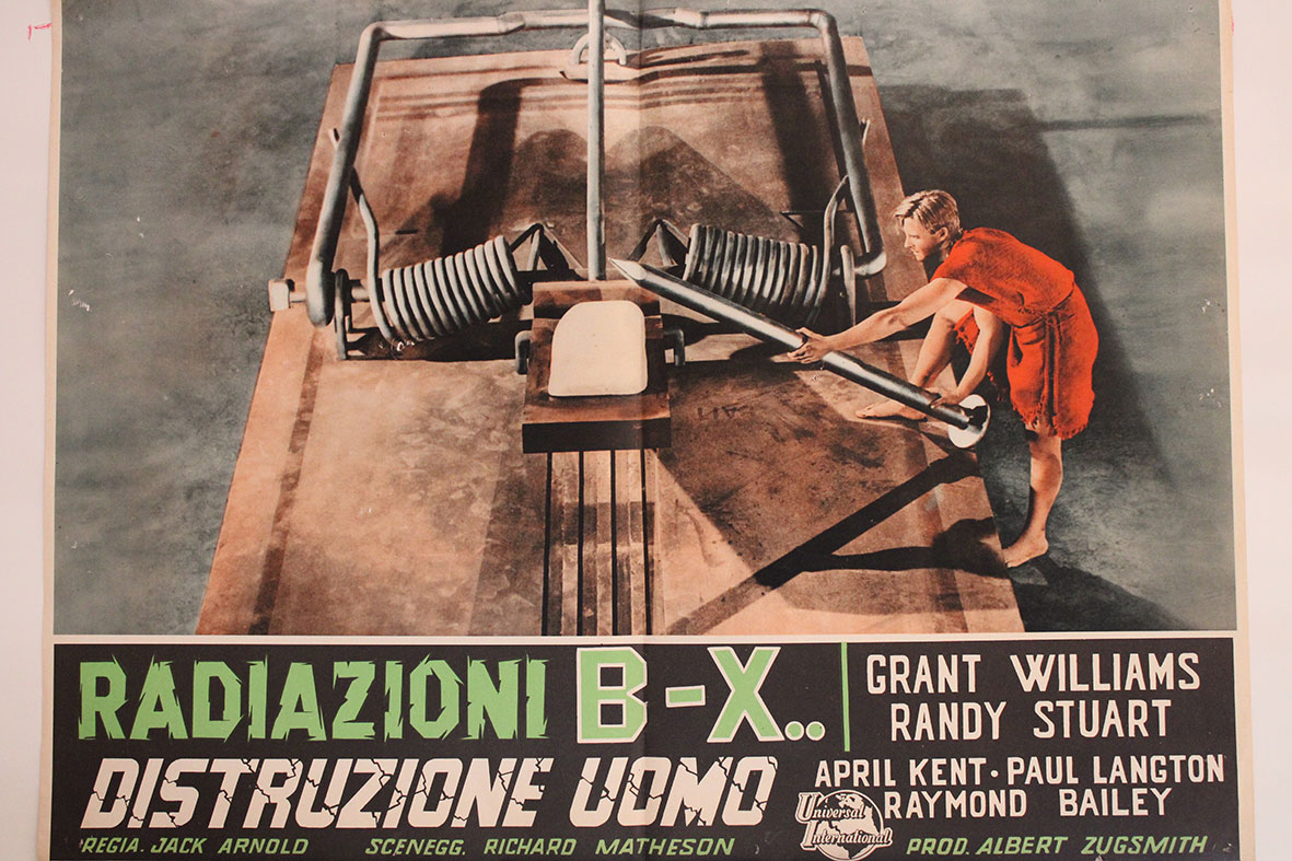 RADIAZIONI B-X DISTRIZIONE UOMO