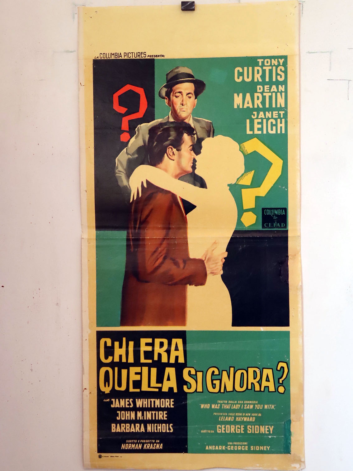 CHI ERA QUELLA SIGNORA