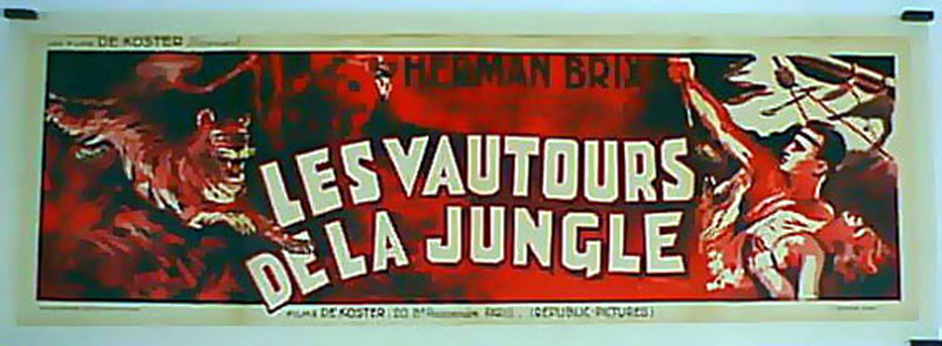 VAUTOURS DE LA JUNGLE, LES